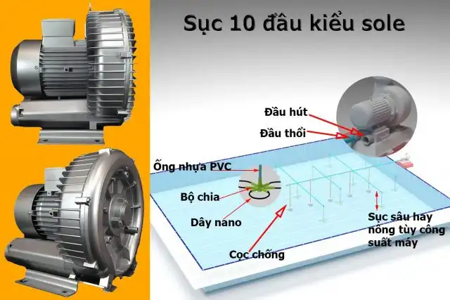 Máy thổi khí con sò GB-750